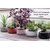 Elemntl Metal Planter Pot for Indoor Plants (Matte White, Set of 2)  5.5 x 3 in  Planter For Living Room Decor