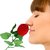 VFJ Cute  Heart CZ Rhodium Plated Ring   with Scented Velvet Rose Ring Box for women and girls and your Valentine.