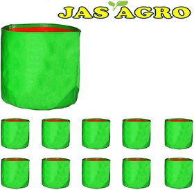 JAS AGRO Terrace Gardening Leafy Vegetable Green Grow Bag (12 X 12) - (Pack of 10)