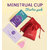 SaniGirl Large Menstrual Cup with Leak  Rashes Free Protection