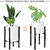 Planter Stand Metal Blacl PLUS Set of 2 Nos