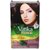 Vatika Henna Permanent Herbal Hair Colour - Dark Brown (with natural Extracts, 100 Ammonia Free) 60g , Dark brown