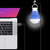 Innotek Pack Of 1 USB LED Bulb Bright Light Reading Lamp for Camping Laptop PC (5 Watt 6 Volts)