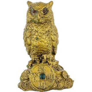                       Gola International Feng Shui Owl for Money and Wisdom Showpiece 10 cm by Make in India, Full                                              