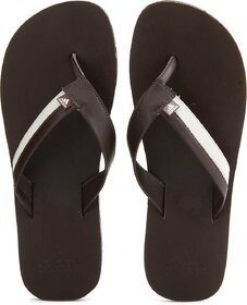 Adidas Men Brizo 3.0 Brown Flip-flops (Slippers)
