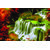 Style Ur Home- Natural Water Fall - Vastu Complaint - Vinyl Non Tearable High Quality Wall Poster - 18  x 12.