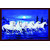Style Ur Home -  White Seven Running Horses Wall Art - 12 X 18 - Vinyl Non Tearable High Quality Vastu Complaint Wall Poster.
