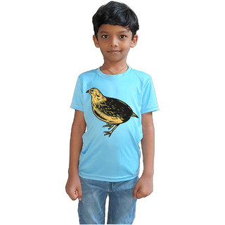                      RISH - Kids Polyester Material quail bird Printed Design for age 12 - 18 Months - colour Blue                                              