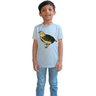                       RISH - Kids Polyester Material quail bird Printed Design for age 2 - 4 Years - colour Grey                                              