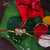 Vighnaharta Dahihandi Gold and Rhodium Plated Alloy Rakhi for Lovely Brother