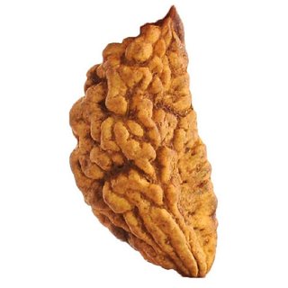                       100 natural 1 Mukhi rudraksha beads for boys and girls                                              