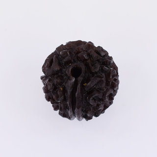                       1 Mukhi rudraksha beads natural and certified for men and women                                              
