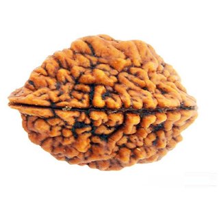 Original certified 1 mukhi rudraksha beads for men and women Original certified 1 mukhi rudraksha beads for men and women