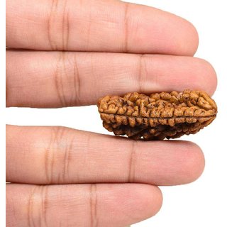 Original certified 1 mukhi rudraksha beads for men and women Original certified 1 mukhi rudraksha beads for men and women