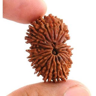                       21 Mukhi rudraksha beads natural certified beads for girls and boys                                              