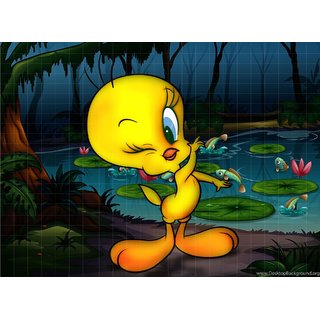 ANSHUL INTERNET, POSTER NO-3 TWEETY, PRINT ON PHOTOGRAPHIC PAPER, 12 BY 18 INCH ANSHUL INTERNET, POSTER NO-3 TWEETY, PRINT ON PHOTOGRAPHIC PAPER, 12 BY 18 INCH