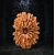Original certified 21 mukhi rudraksha beads for men and women