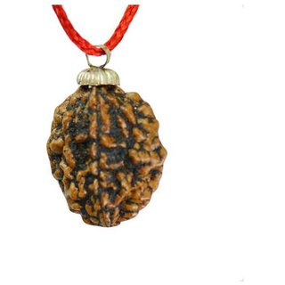                      Lab Certified Rudraksha Beads Natural Pendant For Girls And Boys                                              
