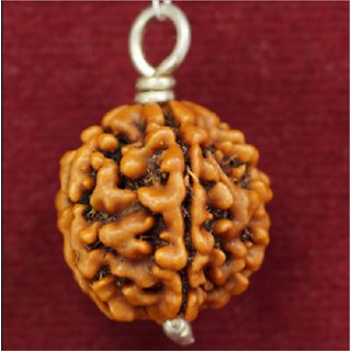 IGL lab certified natural rudraksha beads pendant for girls and boys IGL lab certified natural rudraksha beads pendant for girls and boys