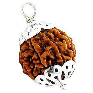                       Rudraksha original and certified beads pendant for men and women                                              