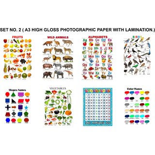 SET NO. 2  ( A3 HIGH GLOSS PHOTOGRAPHIC PAPER WITH 125 MICRON LAMINATION.)
