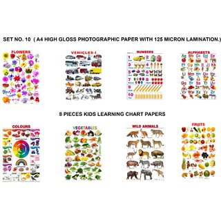 SET NO. 10 ( A4 HIGH GLOSS PHOTOGRAPHIC PAPER WITH 125 MICRON LAMINATION.) SET NO. 10 ( A4 HIGH GLOSS PHOTOGRAPHIC PAPER WITH 125 MICRON LAMINATION.)