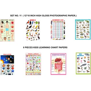 SET NO. 11 ( 12 BY 18 INCH HIGH GLOSS PHOTOGRAPHIC PAPER.) SET NO. 11 ( 12 BY 18 INCH HIGH GLOSS PHOTOGRAPHIC PAPER.)