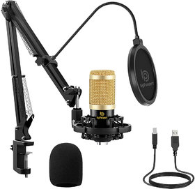 BigPassport Pro-Sound USB Microphone Kit  Professional Studio Condenser Cardioid Microphone (Pro-Sound M800B)