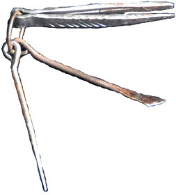 Goat and Sheep Thorn Picker - Big - Set Of 3
