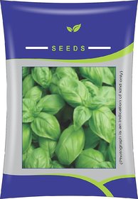 VXI-15-Basil Italian Large Leaf Seeds