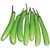 BRINJAL HYBRID SEEDS-100-365