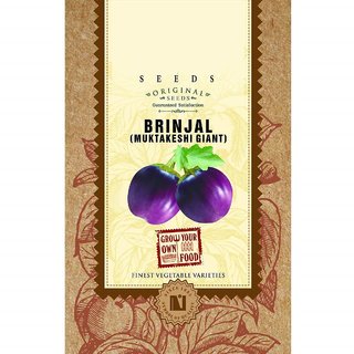 Dioart Brinjal Hybrid Seeds-182