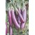 Dioart Brinjal Hybrid Seeds-131