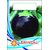 Dioart Brinjal Hybrid Seeds-164