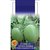 Dioart Brinjal Hybrid Seeds-204