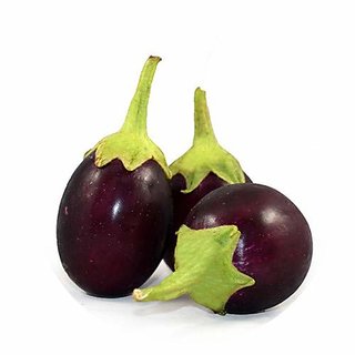 Dioart Brinjal Hybrid Seeds-1011