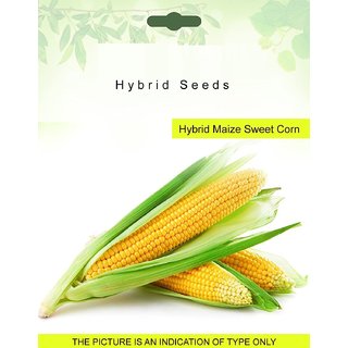 Dioart Corn Seeds-103