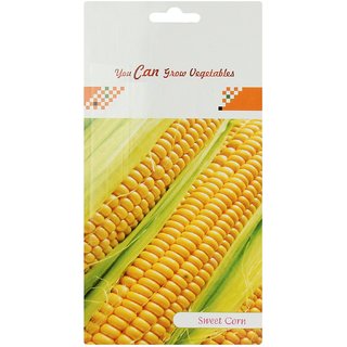 Dioart Corn Seeds-117