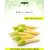 Dioart Corn Seeds-67
