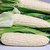 Dioart Corn Seeds-154
