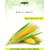 Dioart Corn Seeds-105