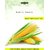 Dioart Corn Seeds-109