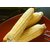 Dioart Corn Seeds-329