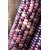 Dioart Corn Seeds-334