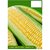 Dioart Corn Seeds-285