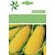Dioart Corn Seeds-212
