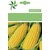 Dioart Corn Seeds-215