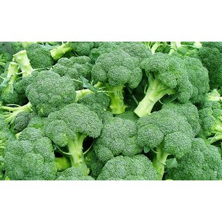 Dioart Broccoli Seeds  150 SEEDS 141