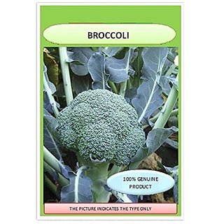 Dioart Broccoli Seeds  150 SEEDS 267