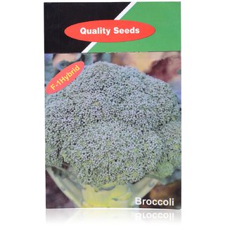 Dioart Broccoli Seeds  100 SEEDS 332